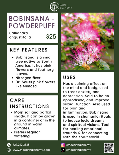 Bobinsana - Powderpuff  key features, care instructions &amp; uses.