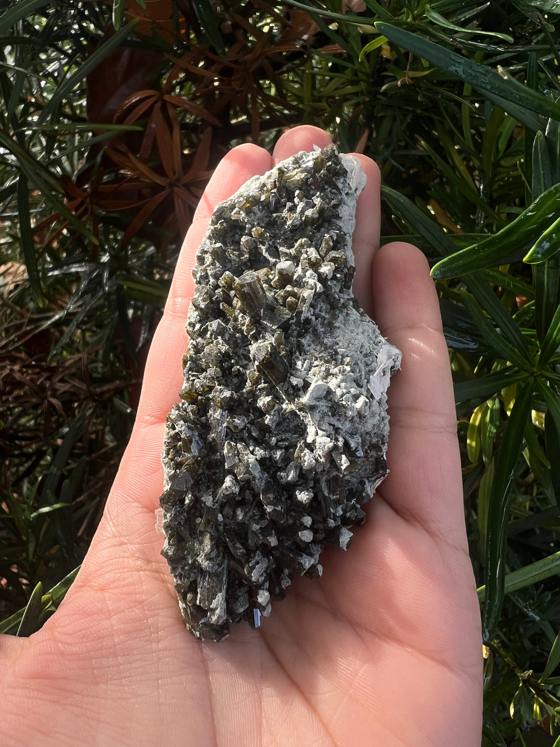 Epidote Raw Crystal Cluster 16