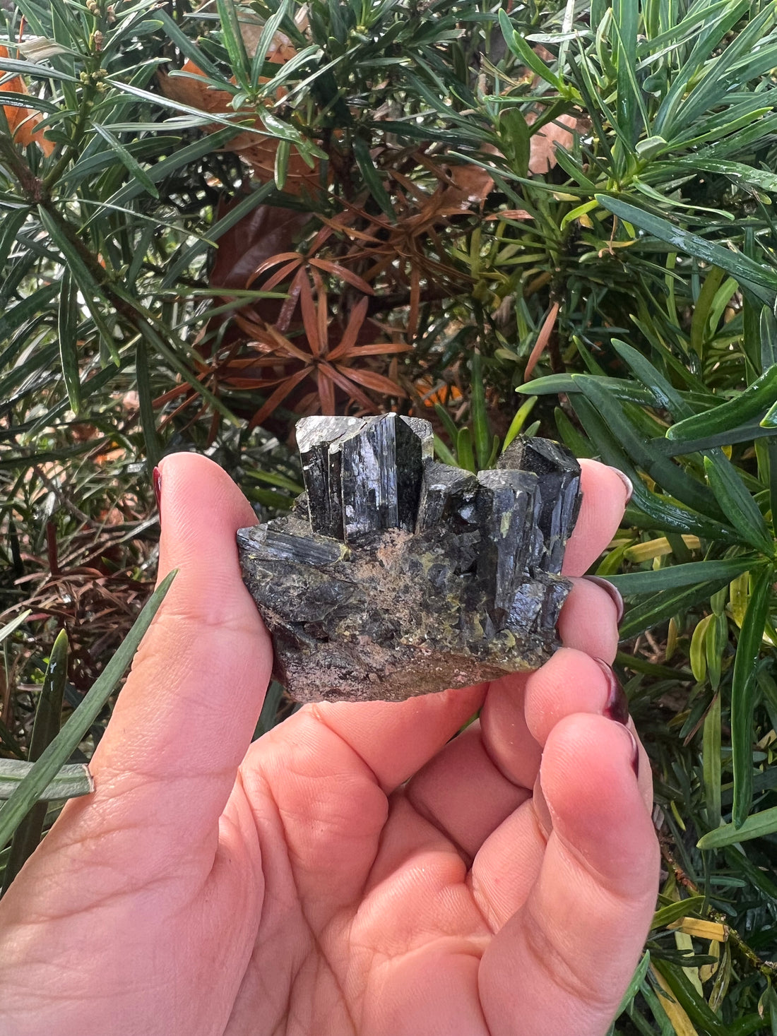 Epidote Raw Crystal Cluster 15