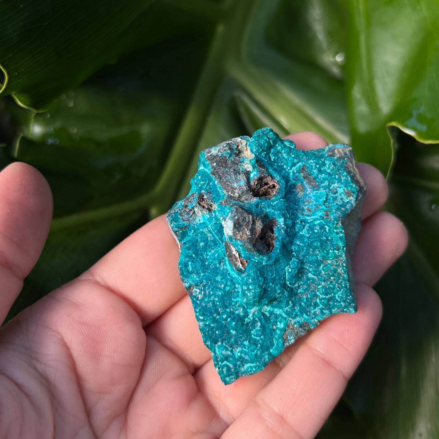 Raw Chrysocolla Freeform 8