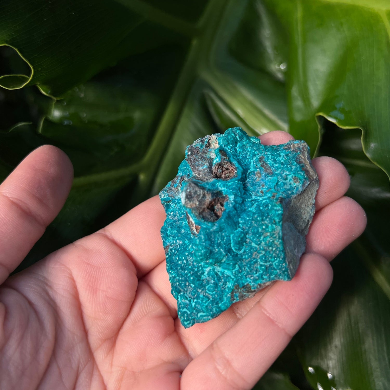 Raw Chrysocolla Freeform 8