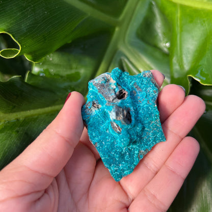 Raw Chrysocolla Freeform 8