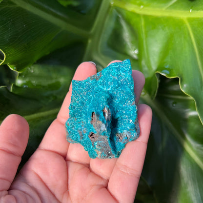 Raw Chrysocolla Freeform 8