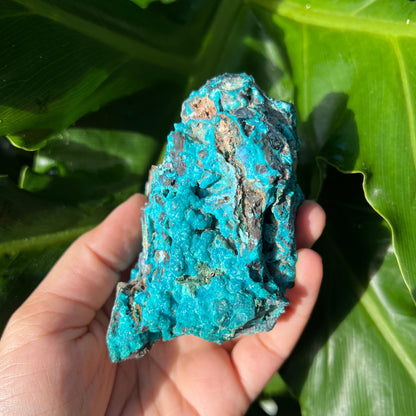 Raw Chrysocolla Freeform 5