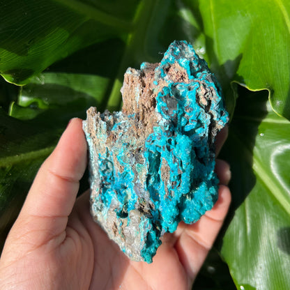 Raw Chrysocolla Freeform 5