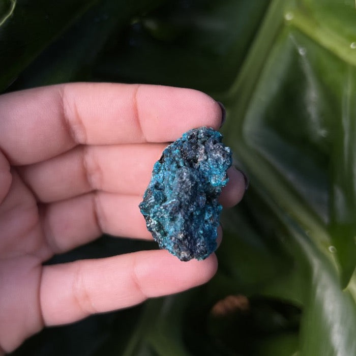 Raw Chrysocolla Freeform 4