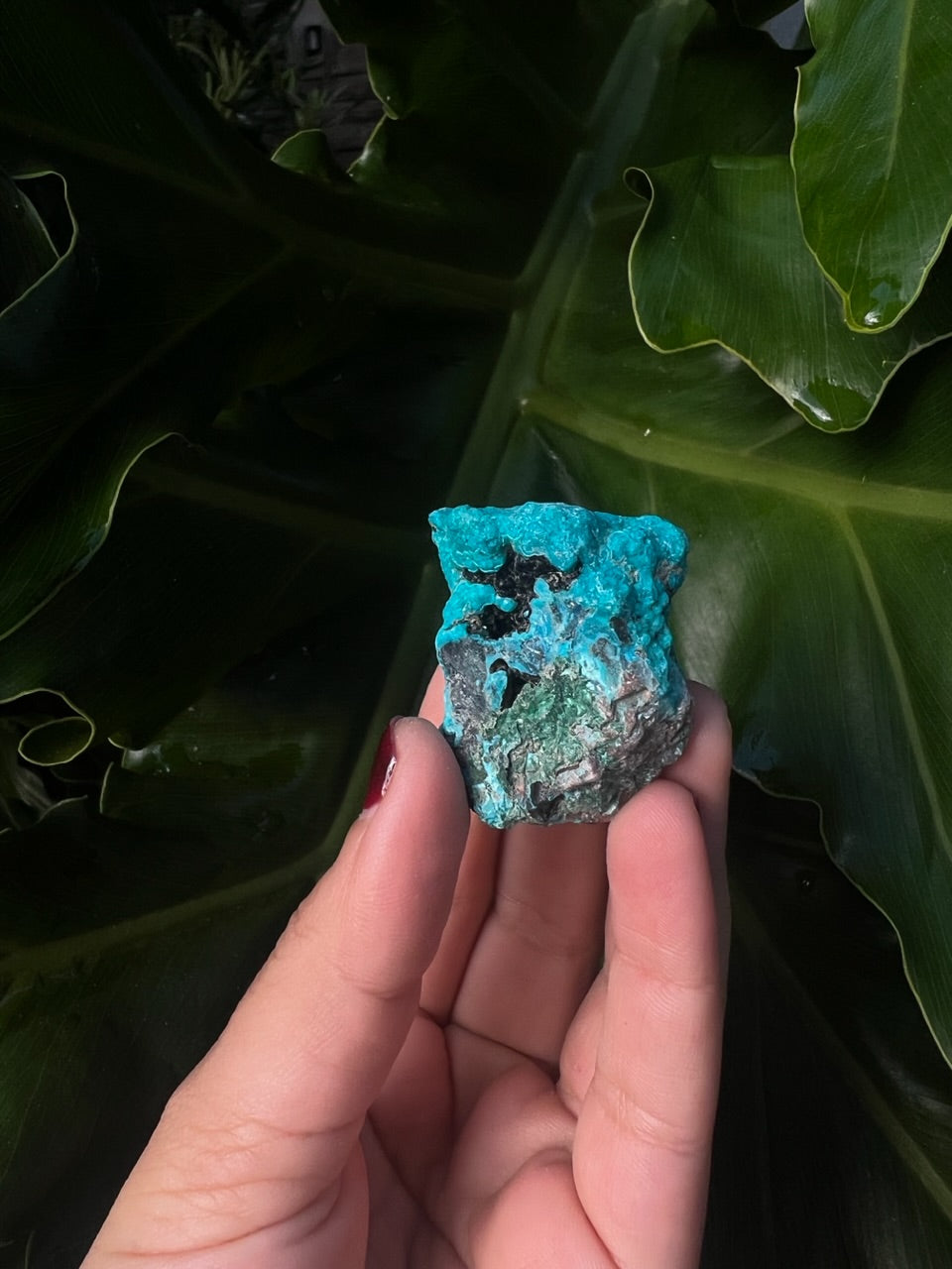 Raw Chrysocolla Freeform