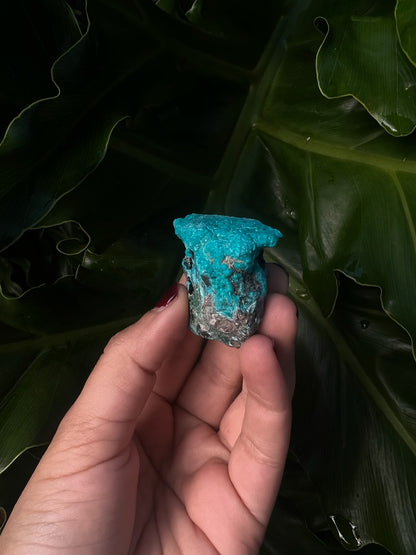 Raw Chrysocolla Freeform