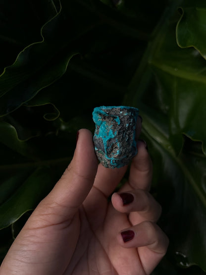 Raw Chrysocolla Freeform