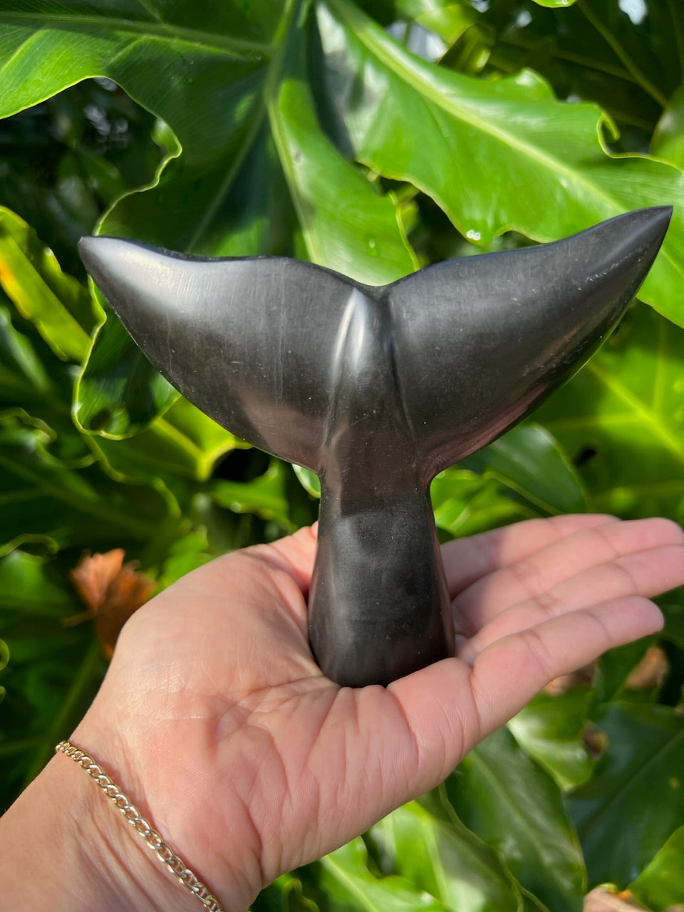 Black Ballena Aragonite -Carved Whale Tail