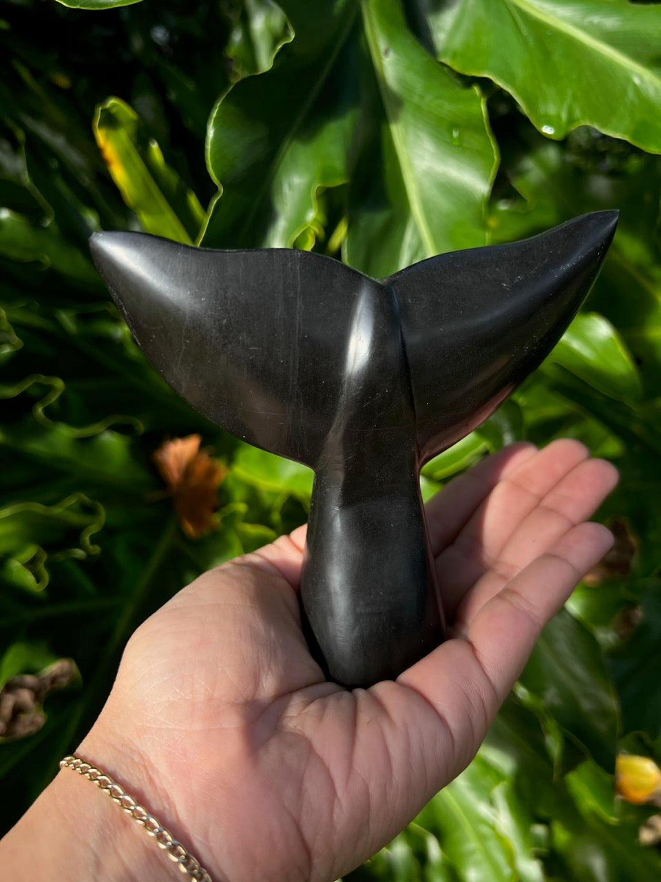 Black Ballena Aragonite -Carved Whale Tail