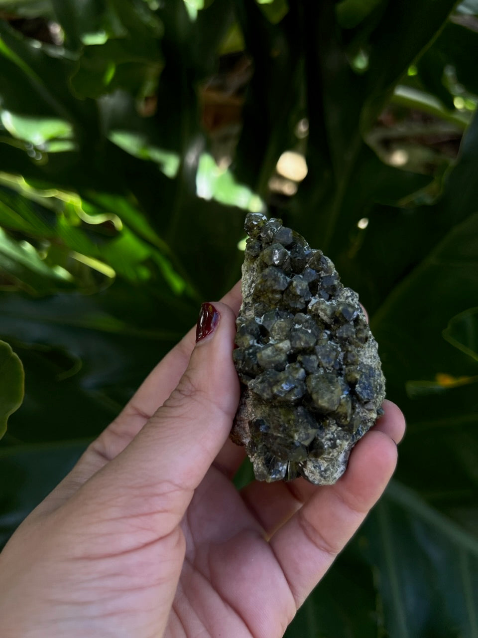 Epidote Raw Crystal Cluster 2