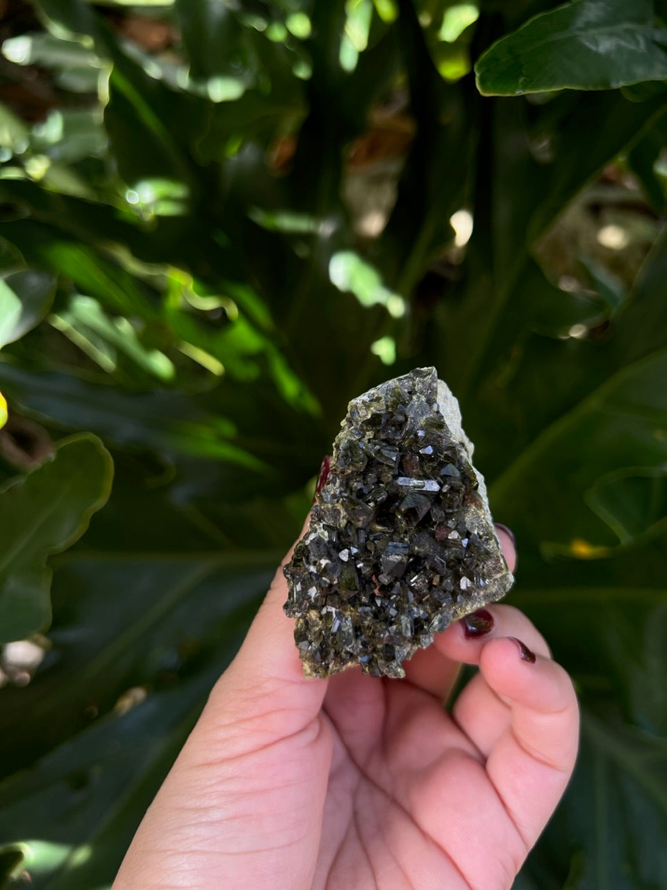 Epidote Raw Crystal Cluster