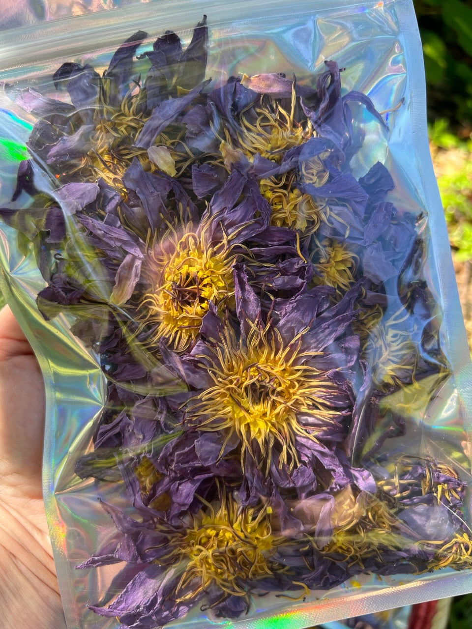 Blue Lotus Herb - Dried Whole Flowers