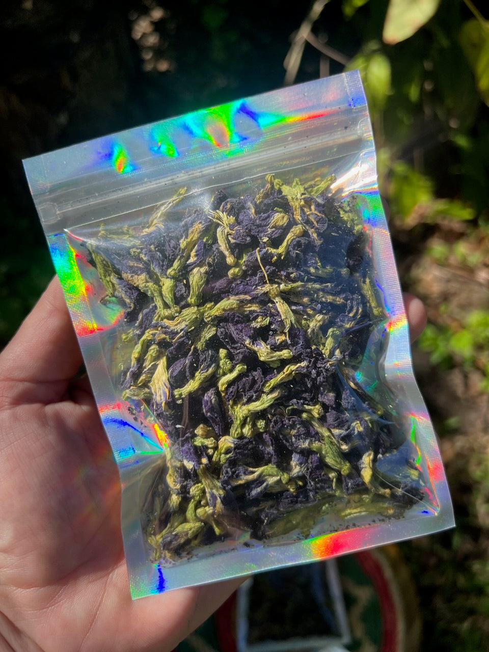 Butterfly Pea Herb - Dried Whole Flowers