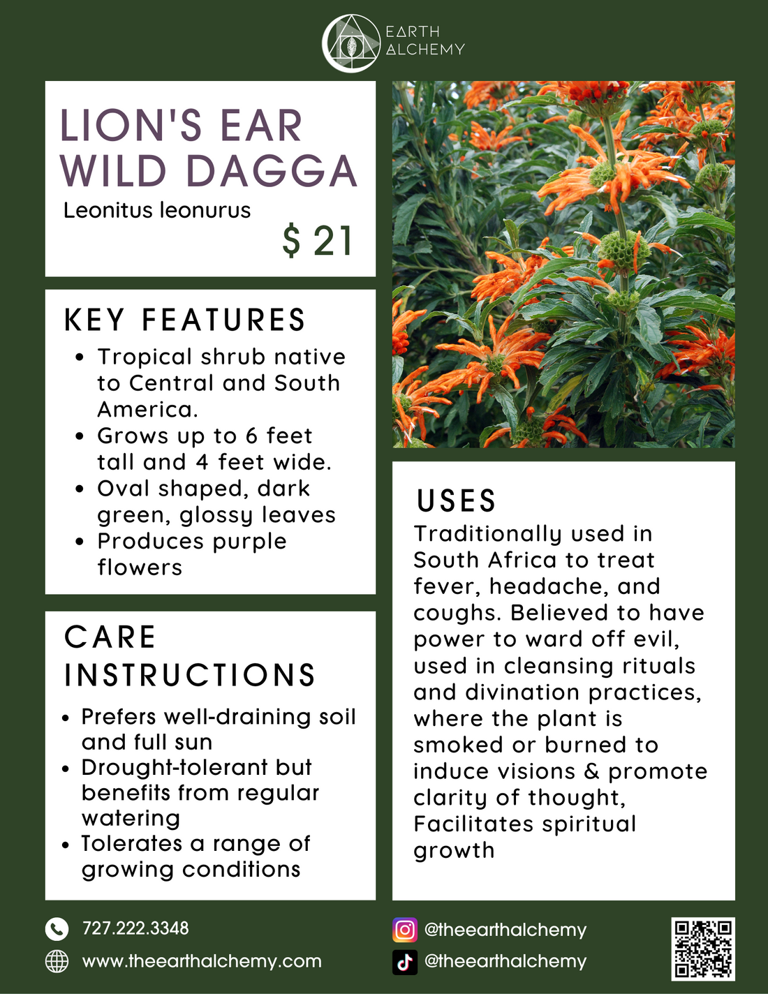 Lion’s Ear key features, care instructions &amp; uses.