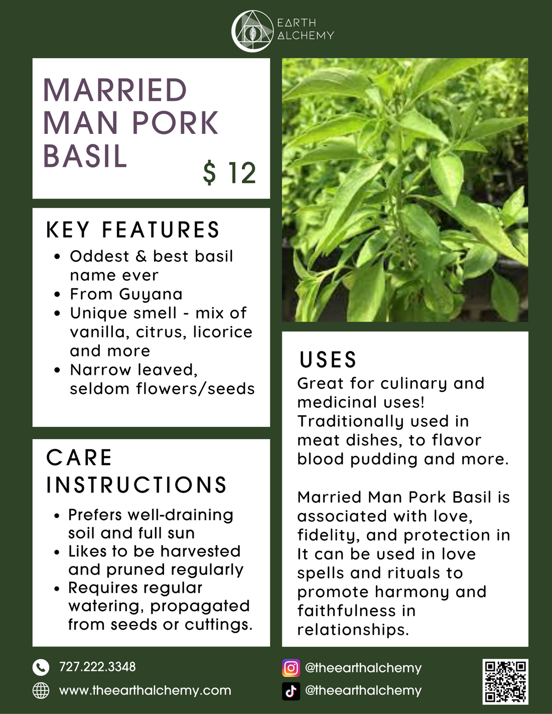Married Man Pork Basil key features, care instructions &amp; uses.