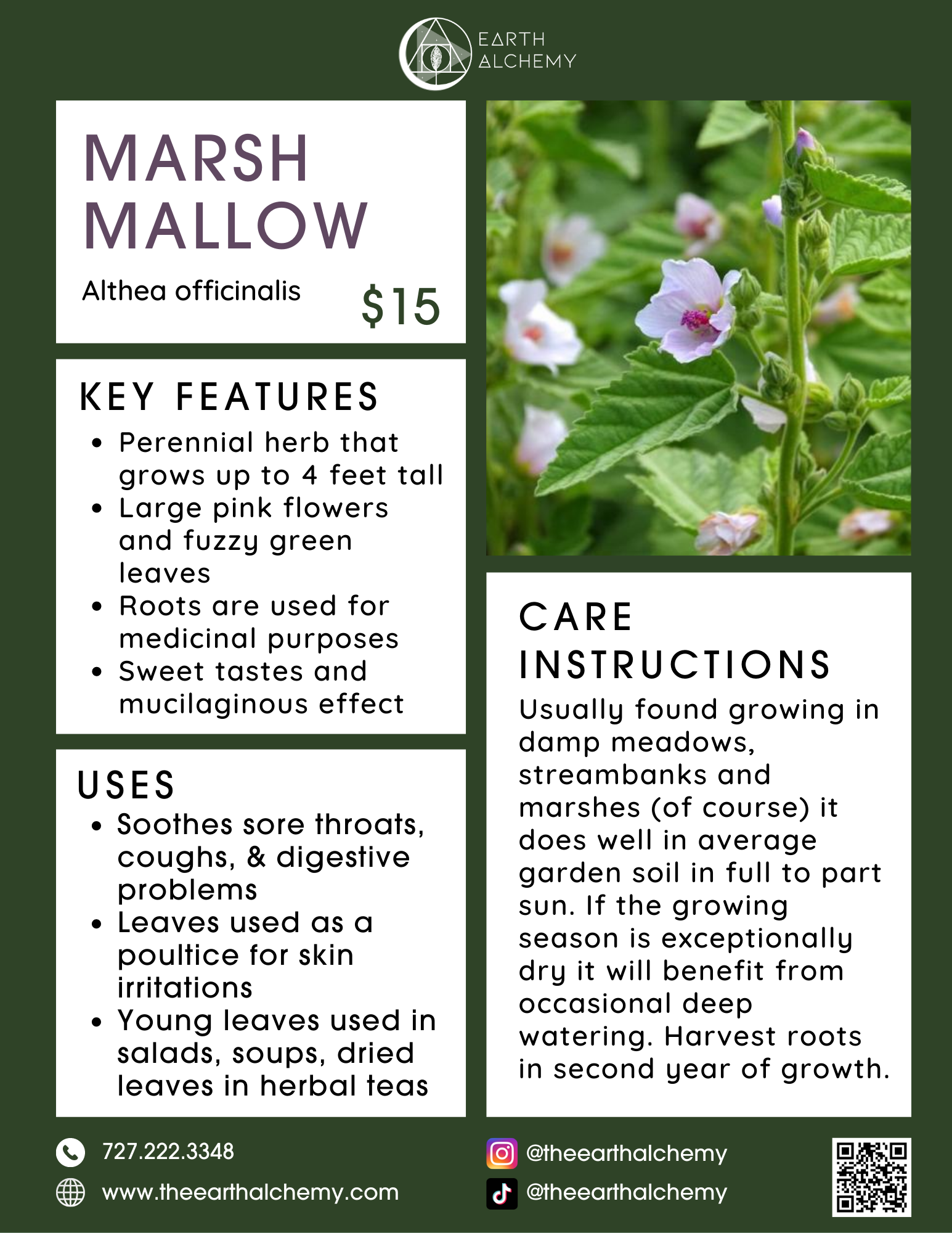 Marshmallow key features, care instructions &amp; uses.