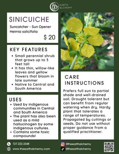 Sinicuciche key features, care instructions &amp; uses.
