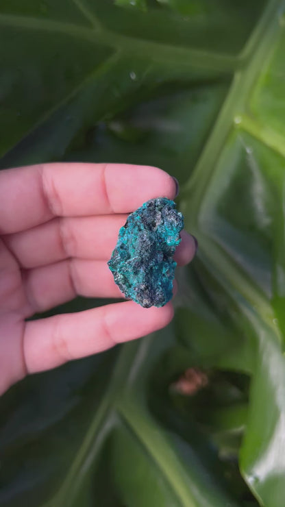 Raw Chrysocolla Freeform 4