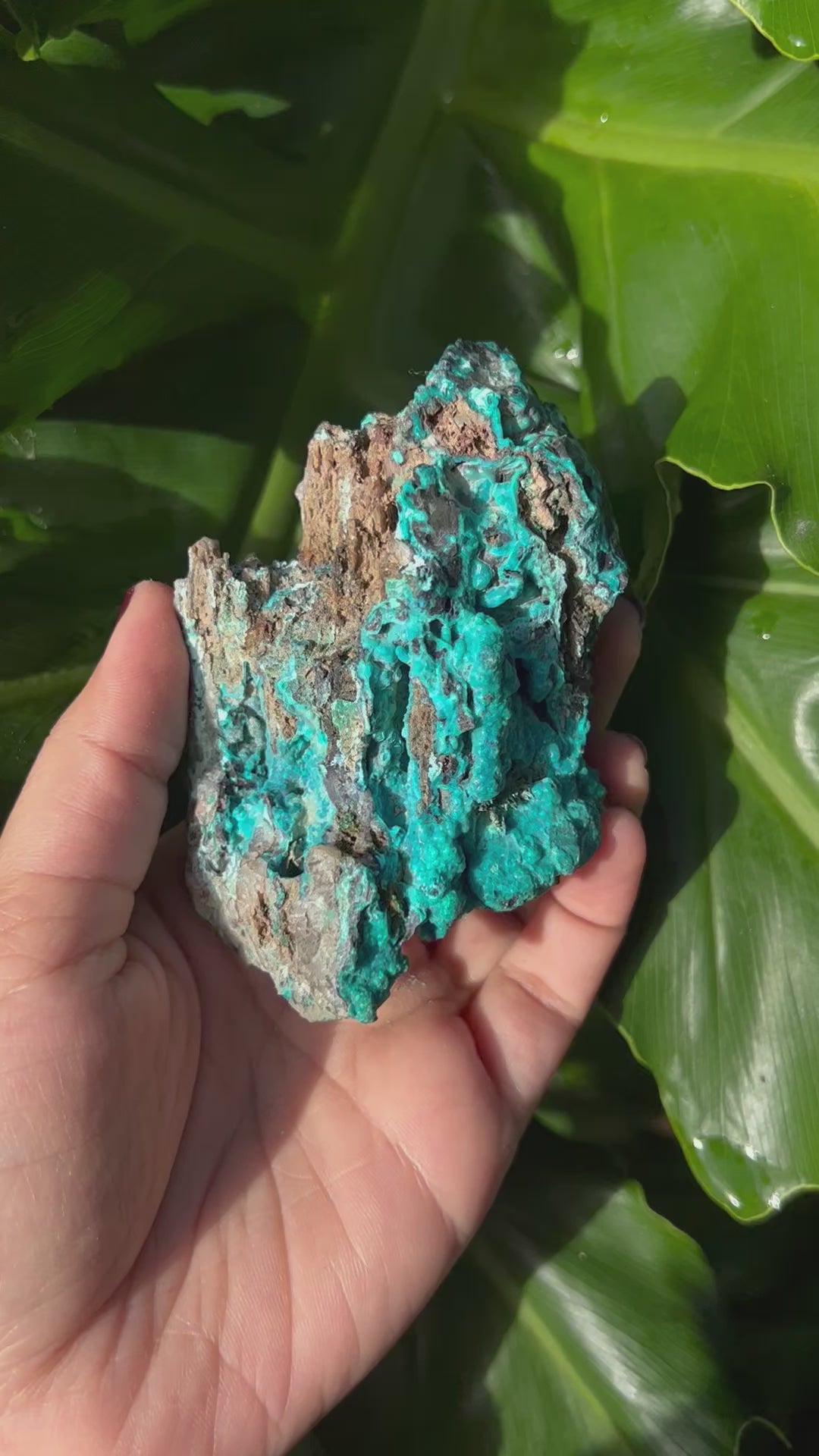 Raw Chrysocolla Freeform 5