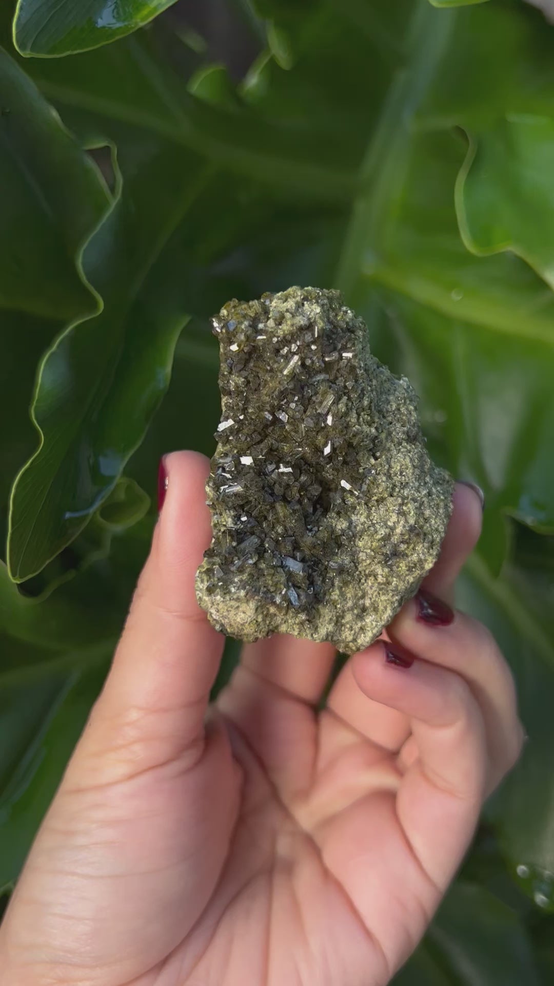 Epidote Raw Crystal Cluster 7