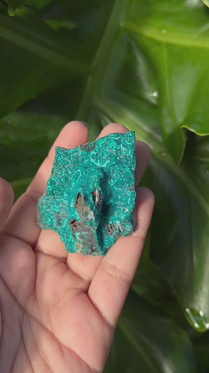 Raw Chrysocolla Freeform 8