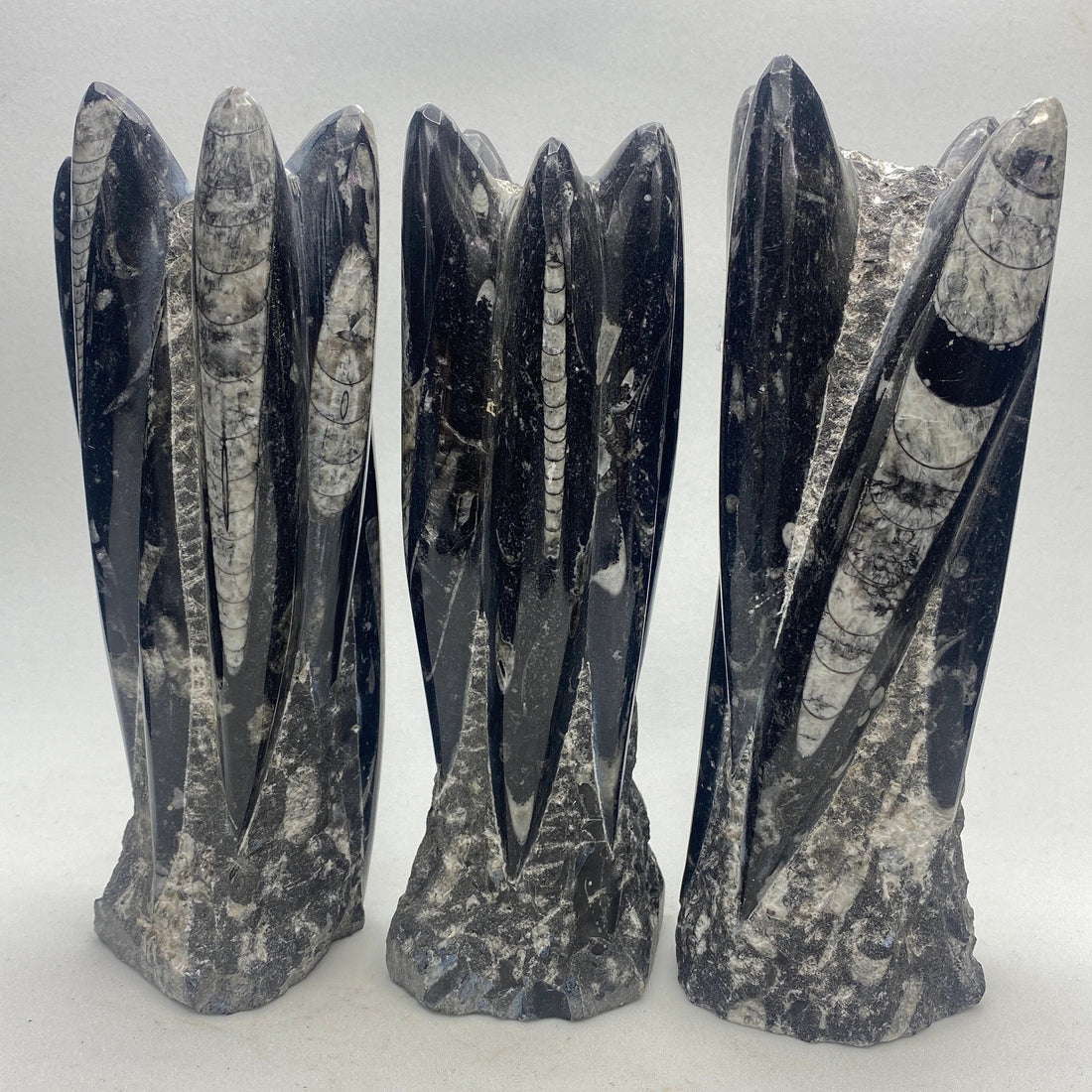 Orthoceras Fossil Towers crystals